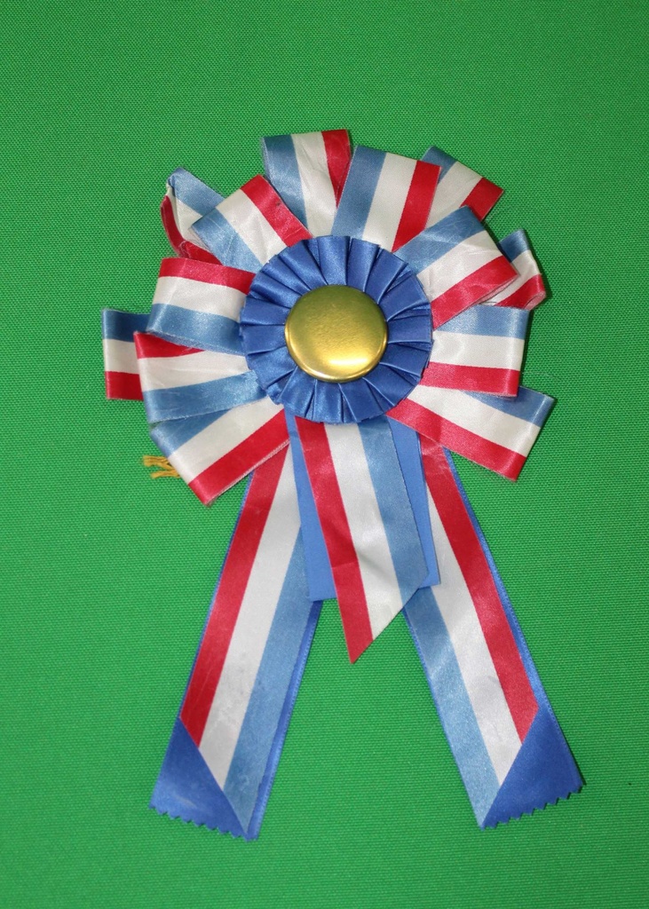 Award Ribbon