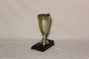 Trophy Cup
