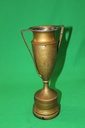 Trophy Cup