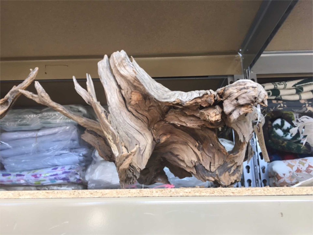Driftwood #1