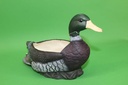 Duck Planter