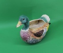 Duck Planter