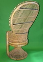 Peacock Chair