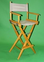 Director Chair