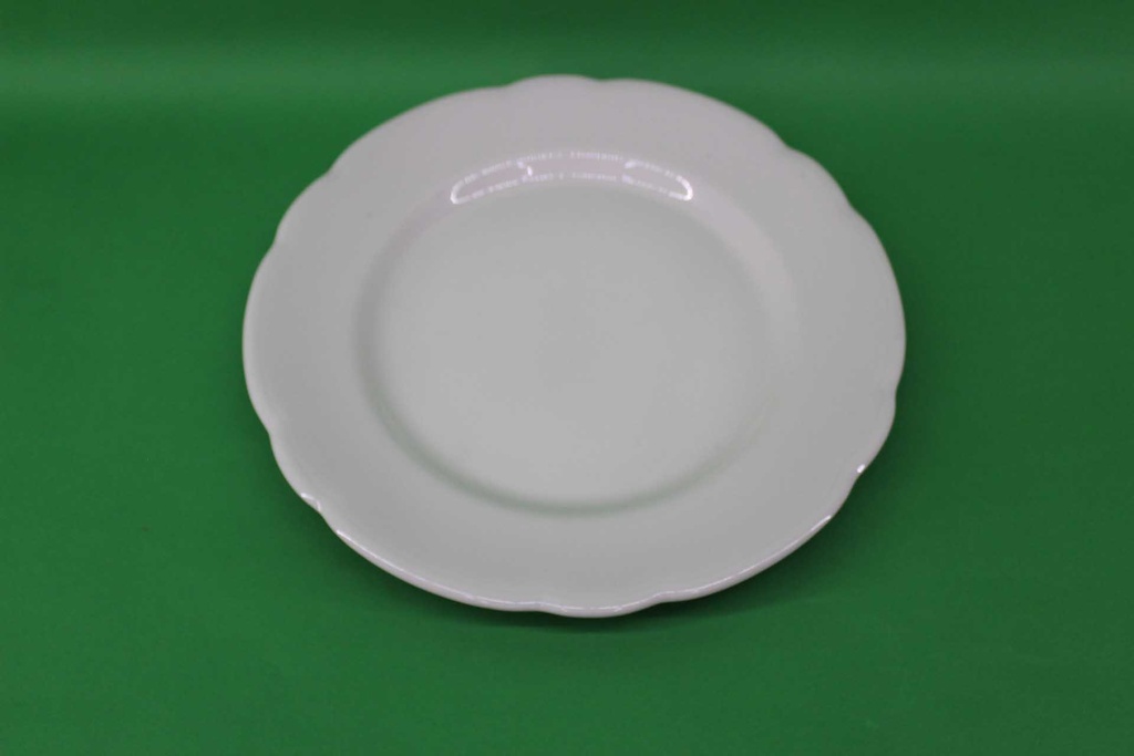 Dinner Plate