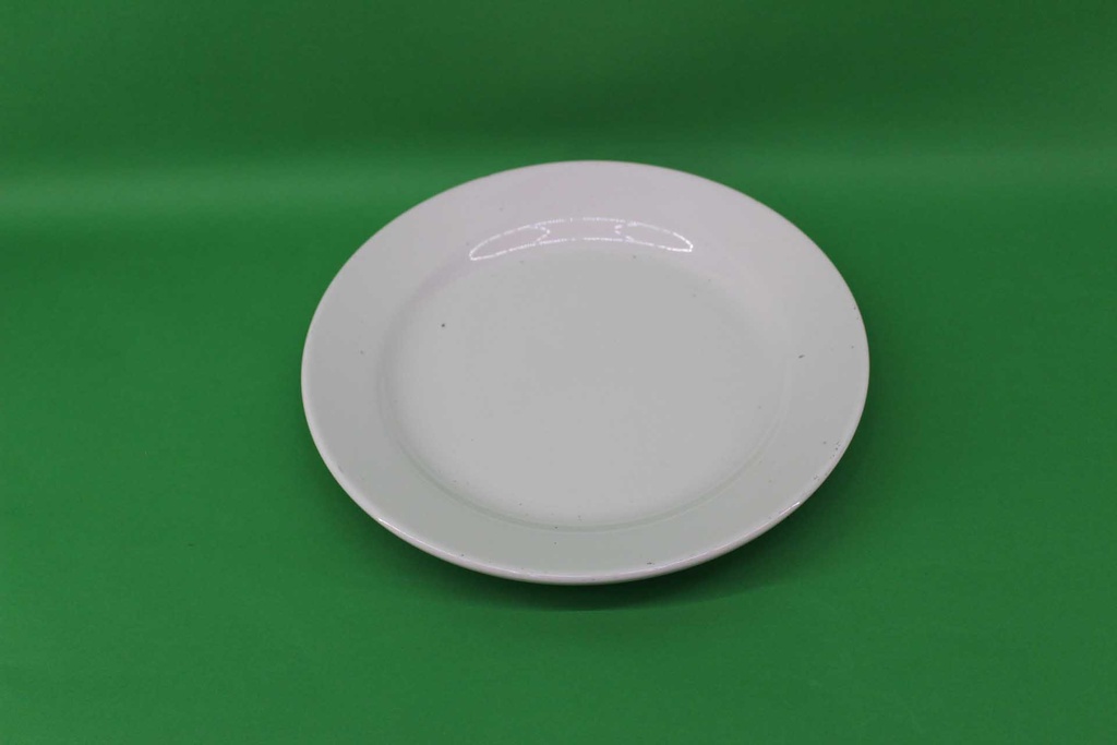 Dinner Plate