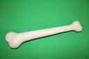 Cartoon Bone