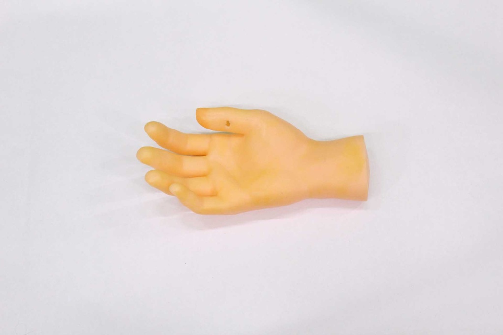 Human Hand
