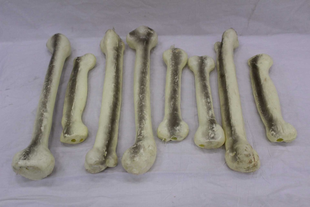 Arm/Leg Bones