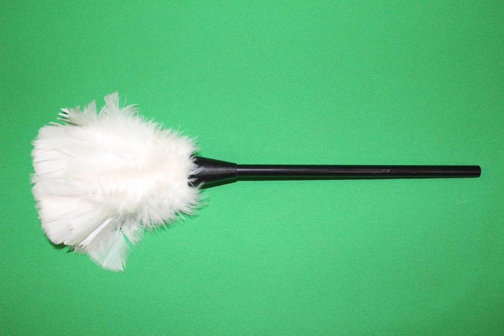 Feather Duster