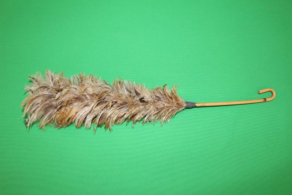 Feather Duster