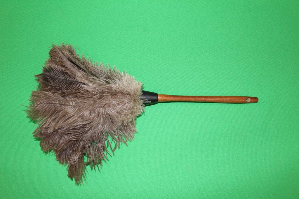 Feather Duster