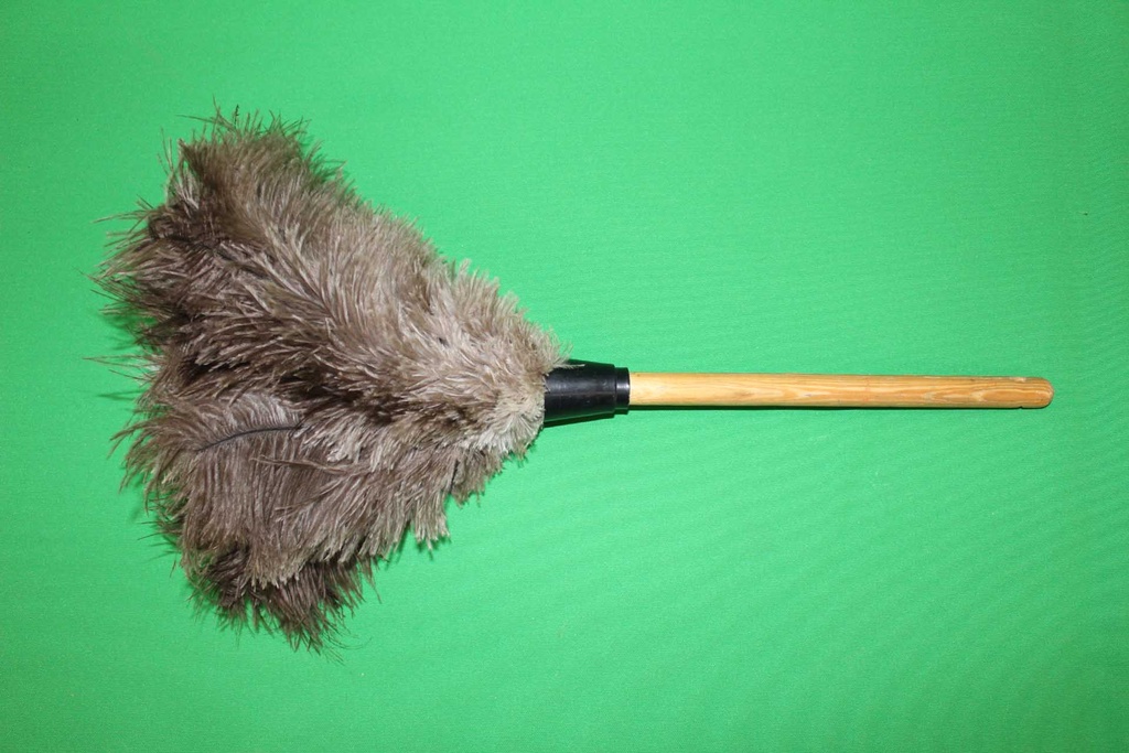 Feather Duster