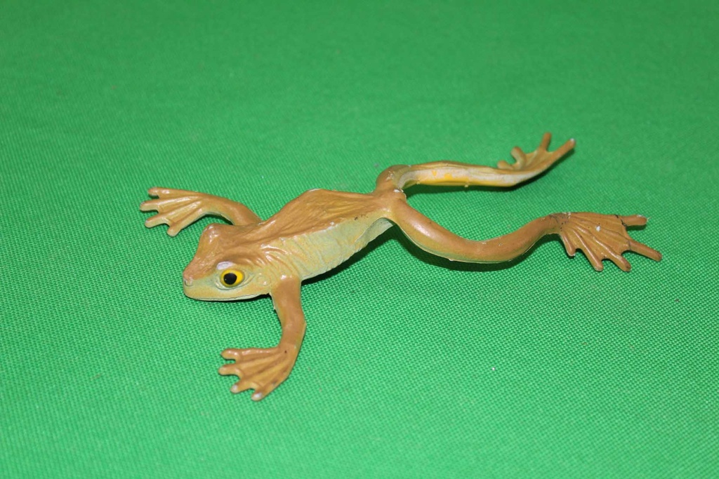 Toy Frog