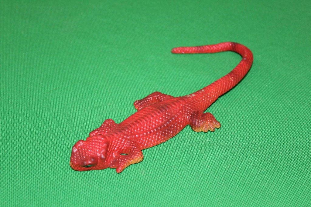 Toy Lizard