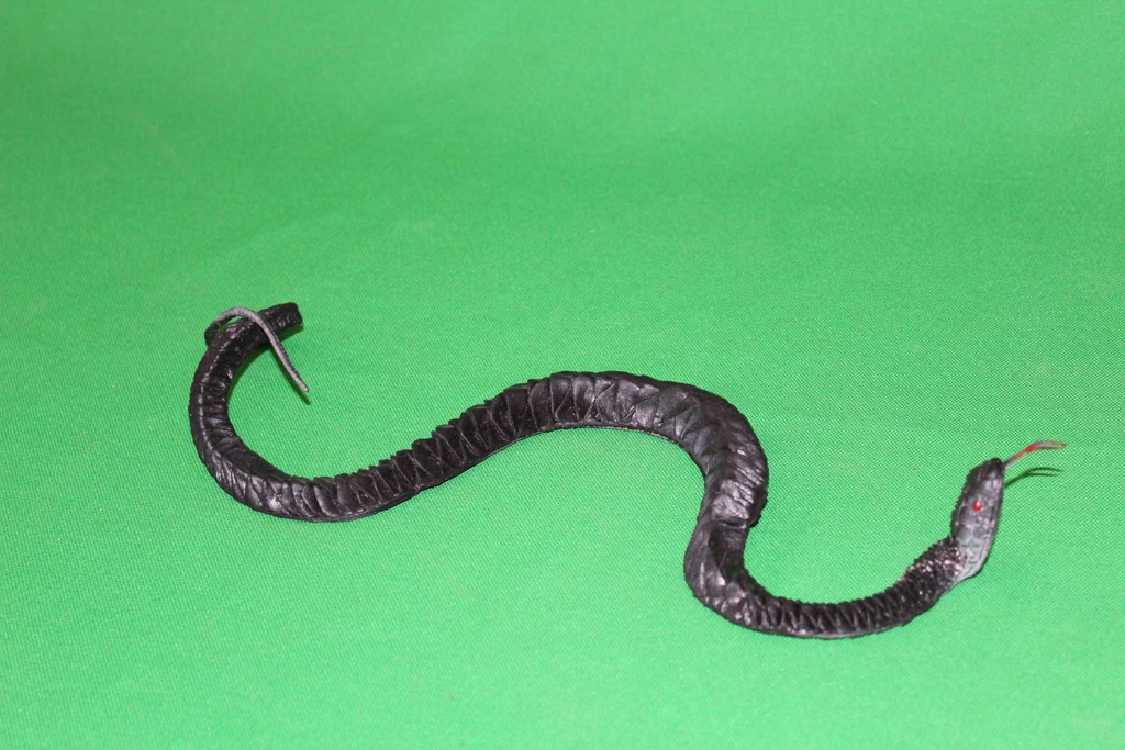 Toy Snake