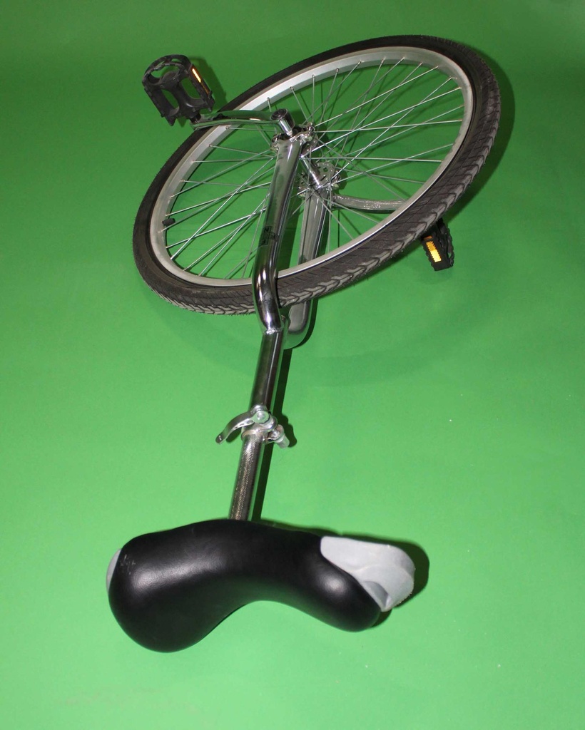 Unicycle