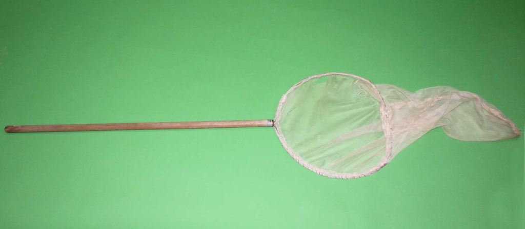 Butterfly Net