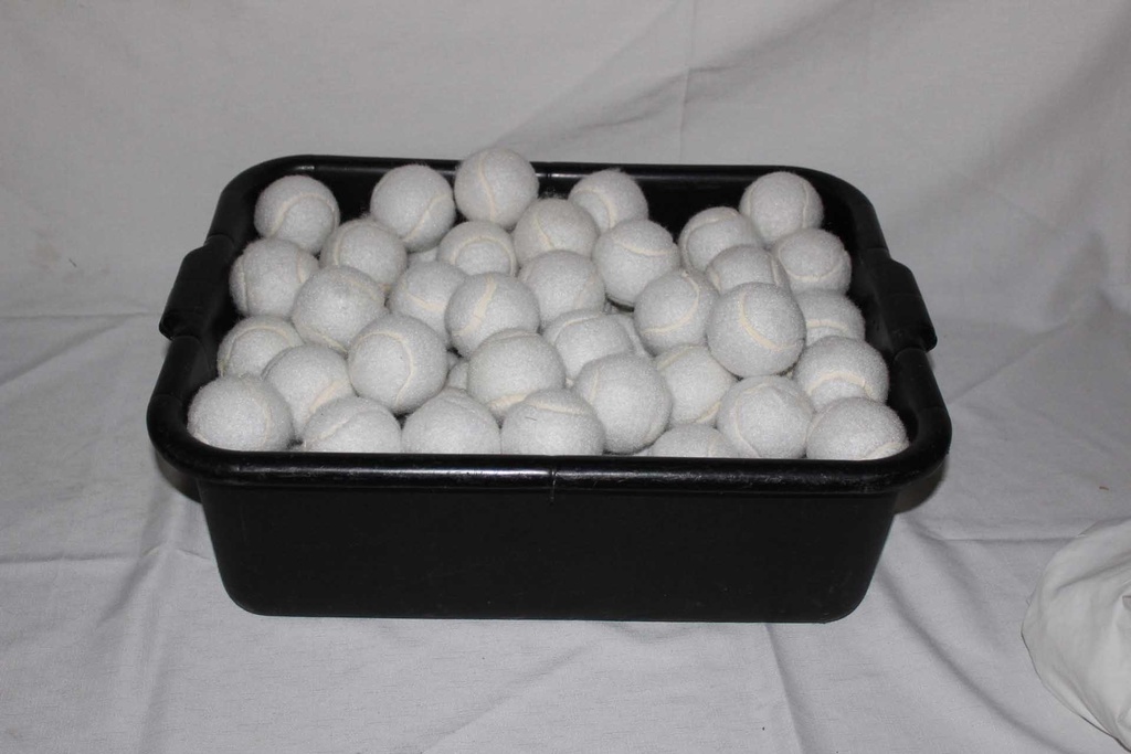 White Tennis Balls