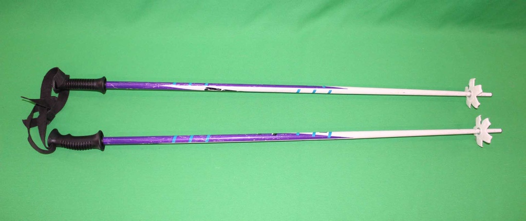 Ski Poles