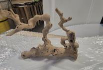 Grape Wood Piece