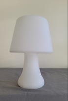 LED Plexi Lamp
