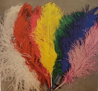 White Ostrich Feathers