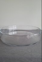 Low Flat Glass Cylinder Vase