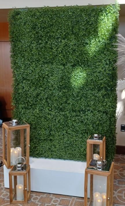 Boxwood Wall