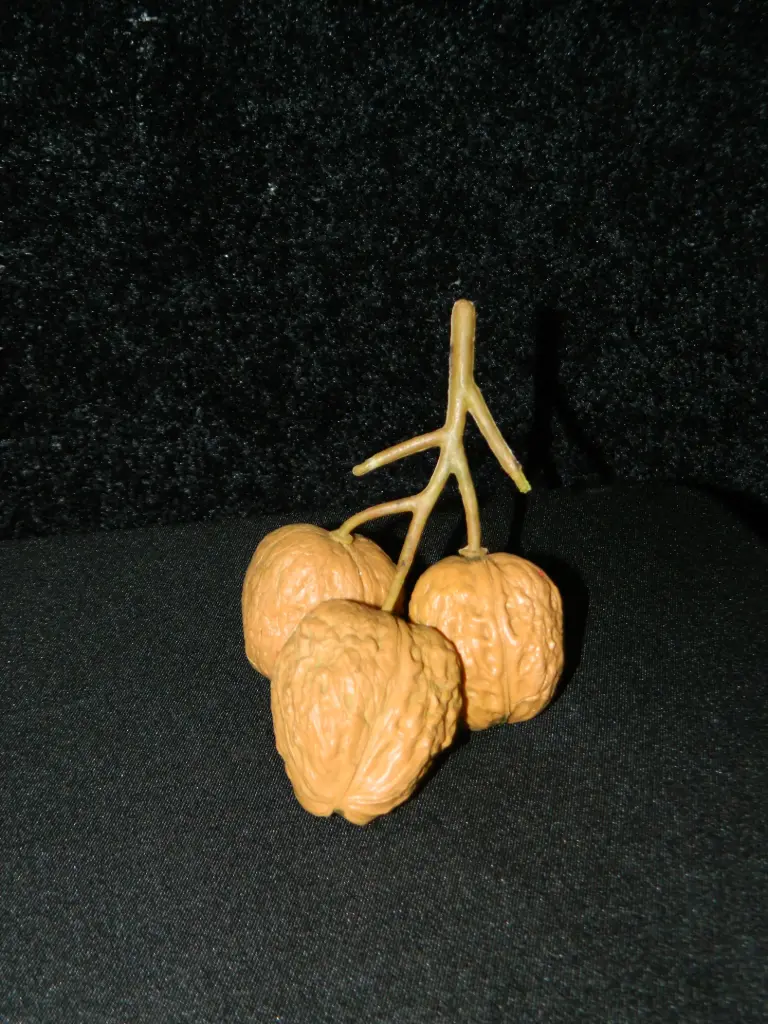 Walnut Stem