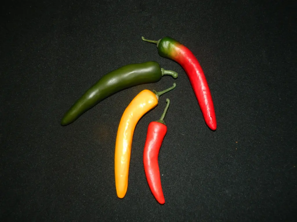 Chilli Peppers