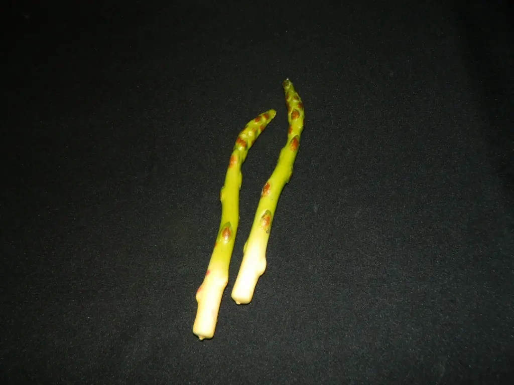 Cooked Asparagus