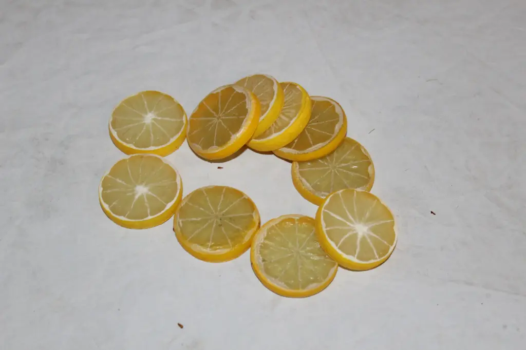 Lemon Slices