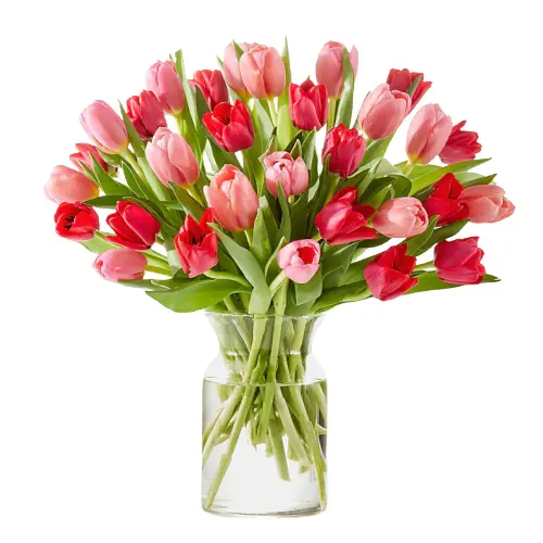 Juliet Arrangement - Premium