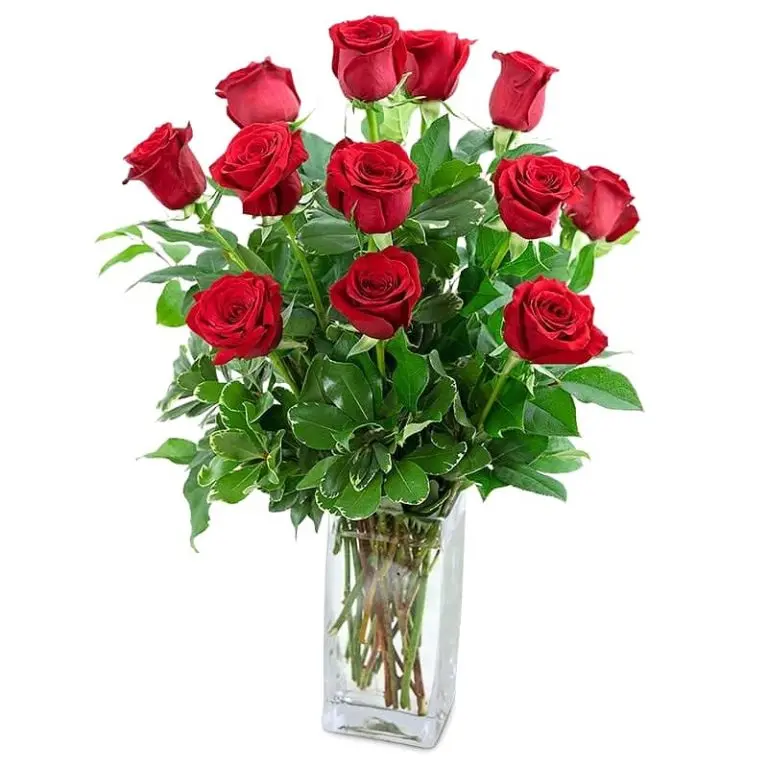 Roses - Classic Dozen Arrangement