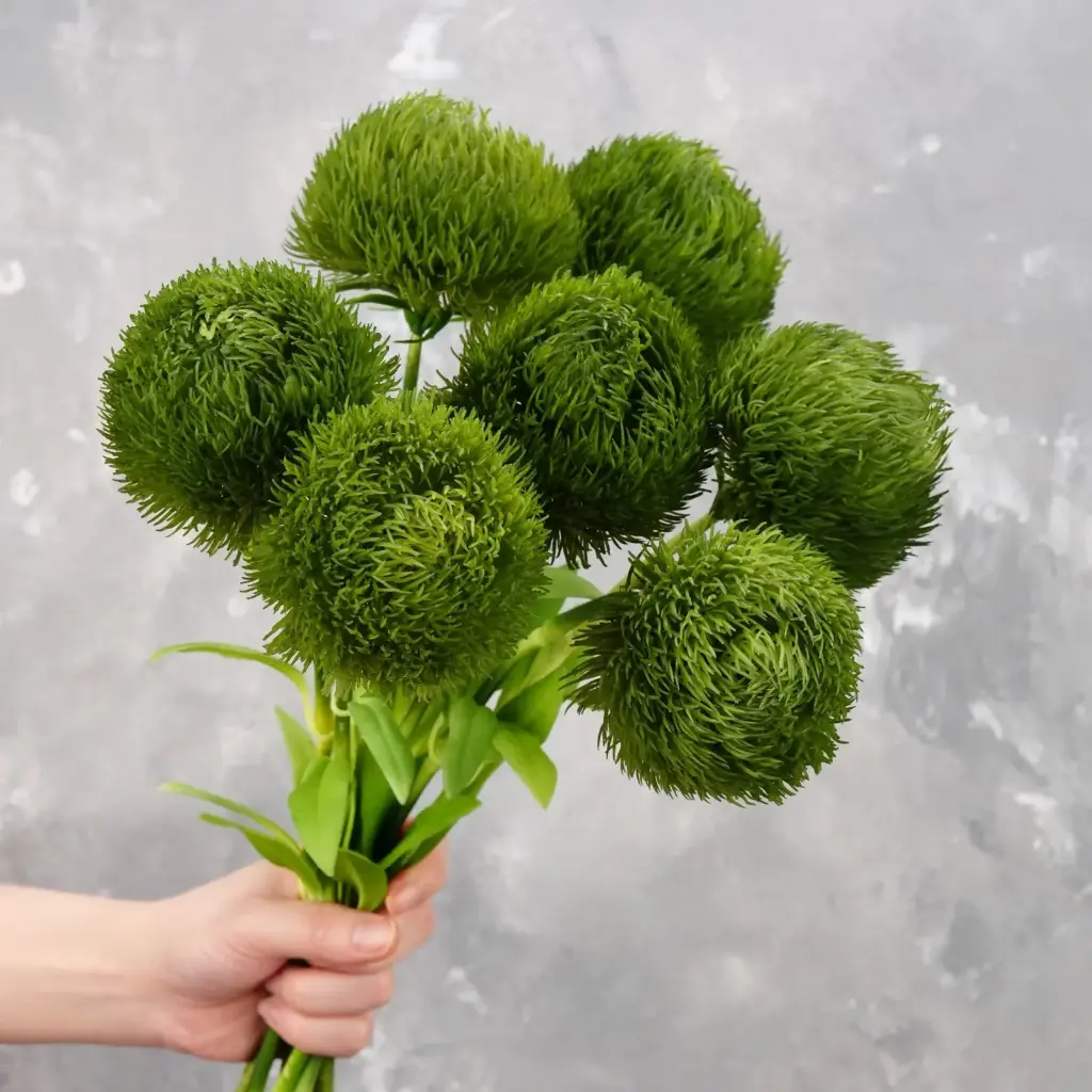 Green Trick Dianthus