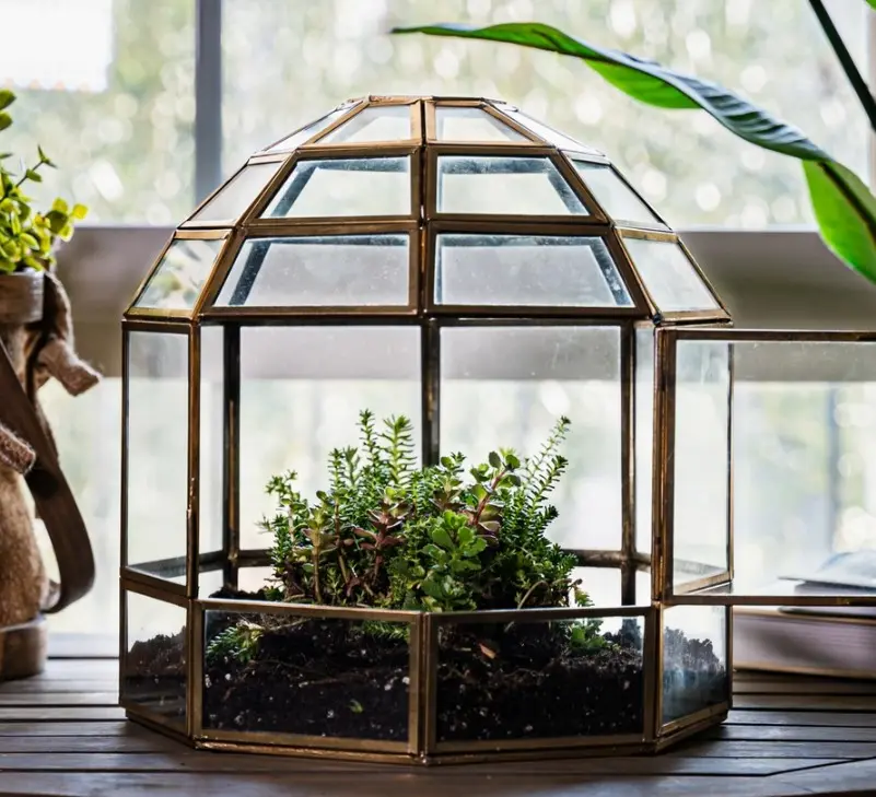 Greenhouse Terrarium on a Stand