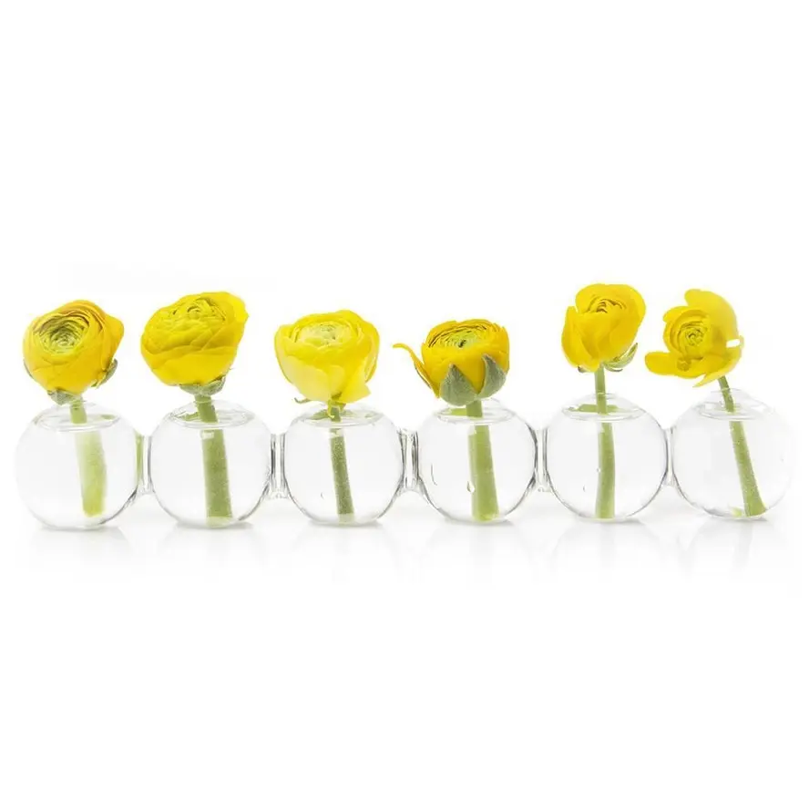 Caterpillar Clear Glass Bud Vase Long - Small