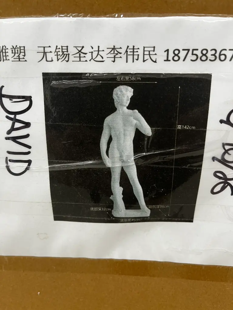 Statuary, David 5'