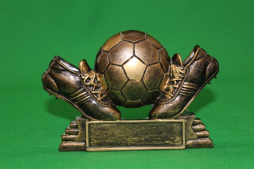 [PDA-006] Trophy