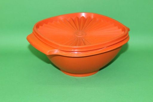 [PKE-056] Tupperware