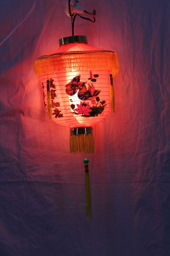 [PLS-006] Chinese Bird Lantern