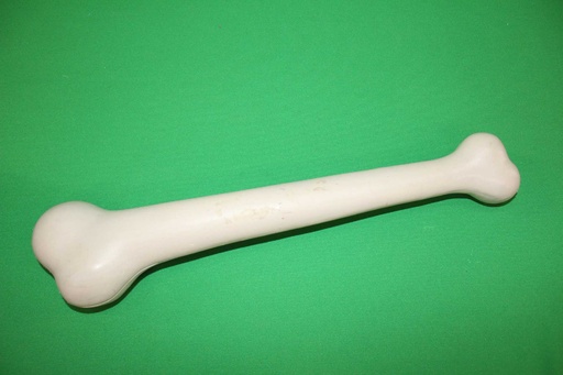 [PMB-003] Cartoon Bone