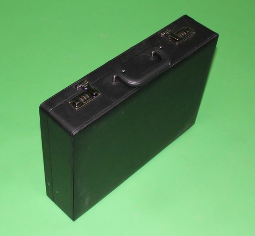 [PPL-051] Briefcase of Money