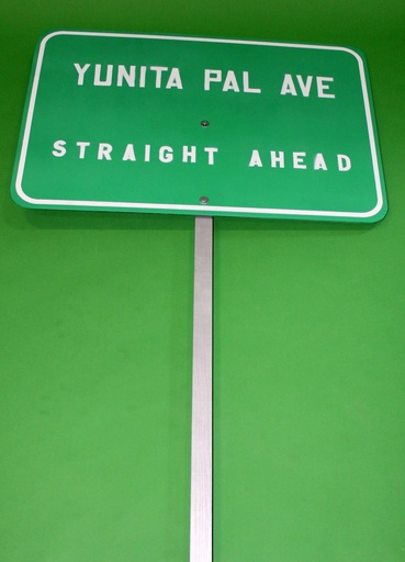 [PPP-013] "YUNITA PAL AVE" Sign