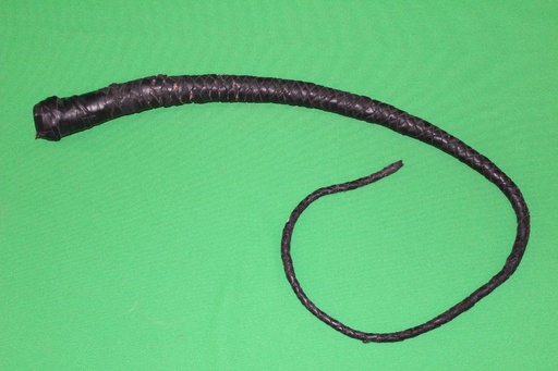 [PPW-074] Bull Whip