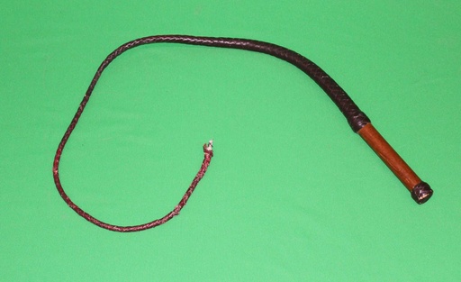 [PPW-121] Bull Whip