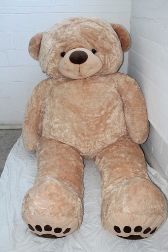 [PTA-050] Giant Teddy Bear