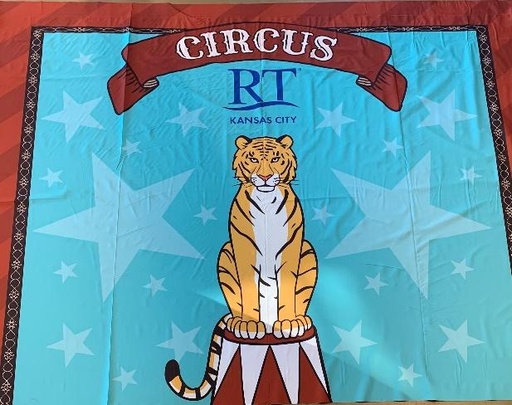 [EDW-007] Circus Wall Fabric Backdrop