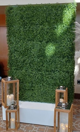 [EDW-016] Boxwood Wall